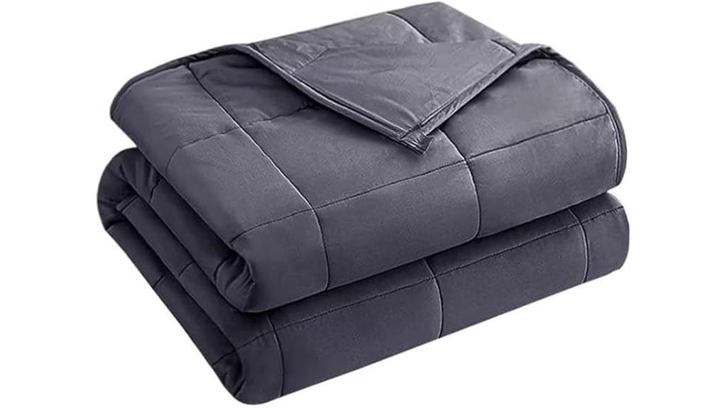 20 lb grey queen blanket