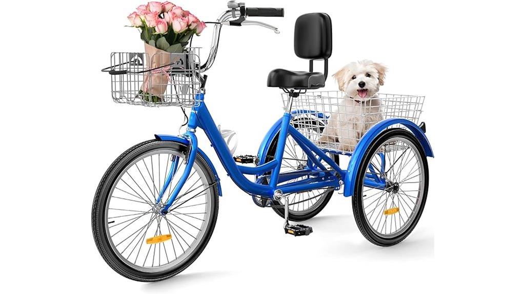 adult three wheel bicycle