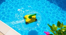 affordable pool cleaner options
