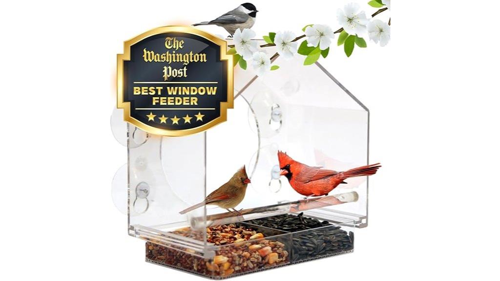 bird feeder for windows