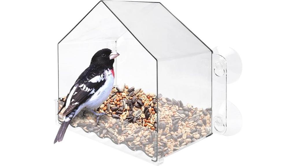 clear window bird feeder