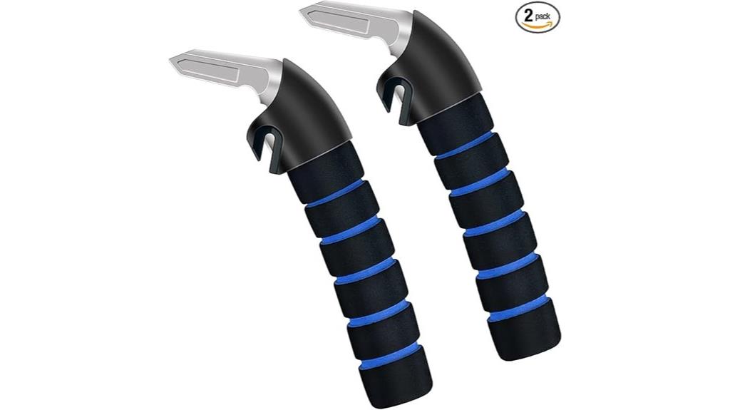 dual elderly car handles
