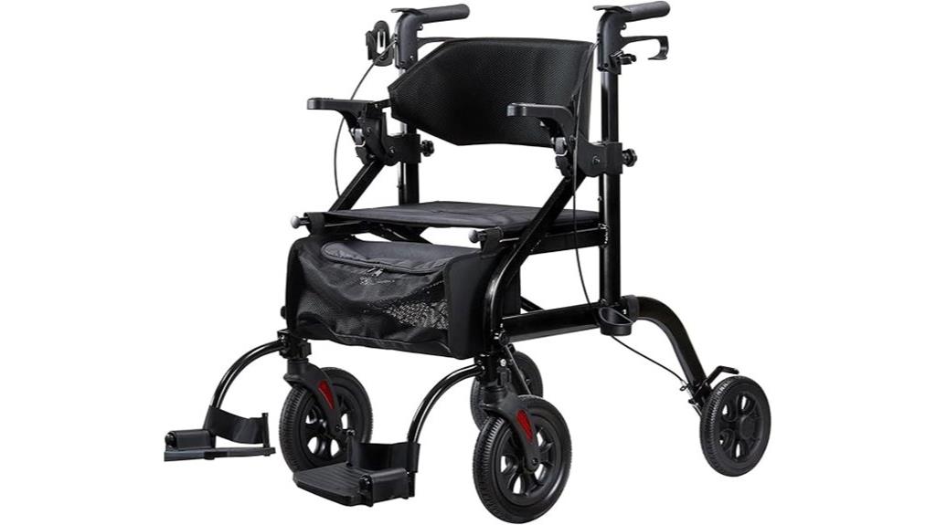 dual purpose mobility aid