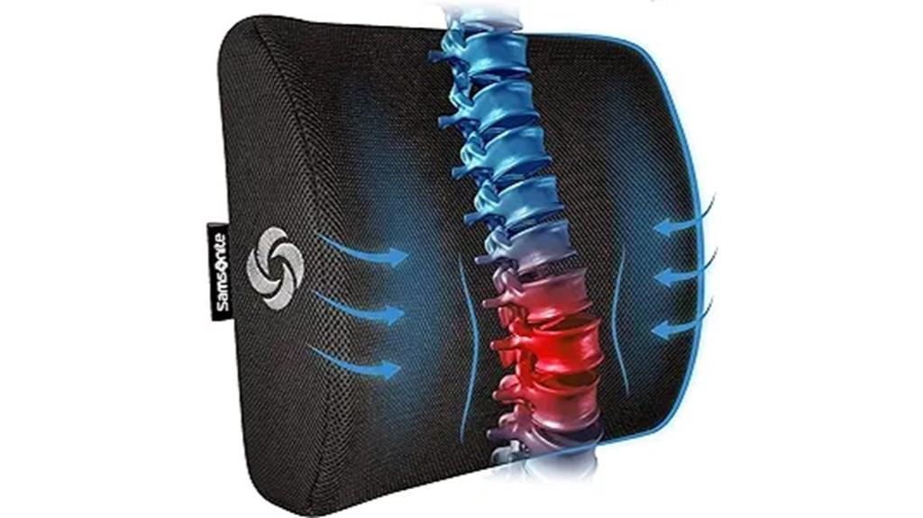 lumbar support pillow