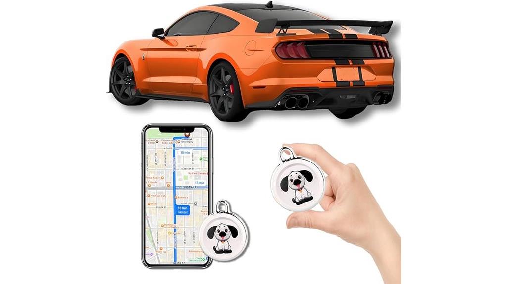 portable vehicle gps device
