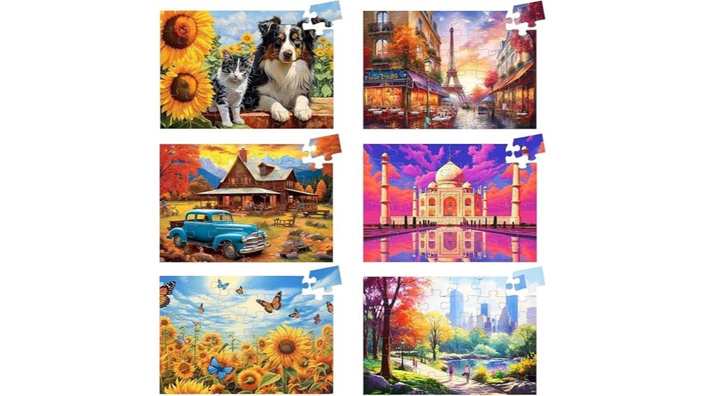 six puzzle sets with storage