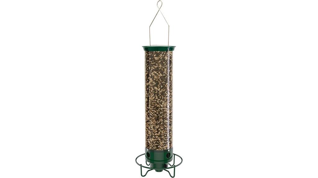 squirrel proof bird feeders
