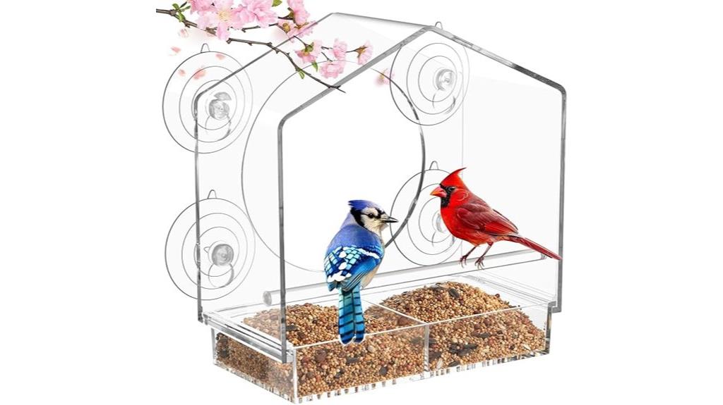 suction cup window bird feeder