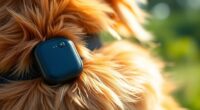 top gps pet trackers