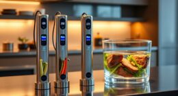 top sous vide sticks 2025