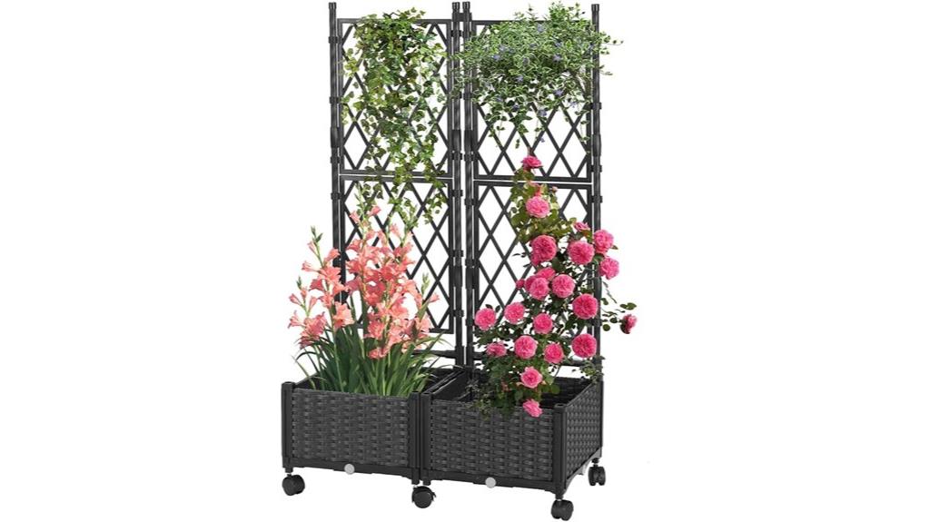two raised garden beds