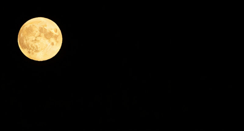 1 Best Gazebos in 2026