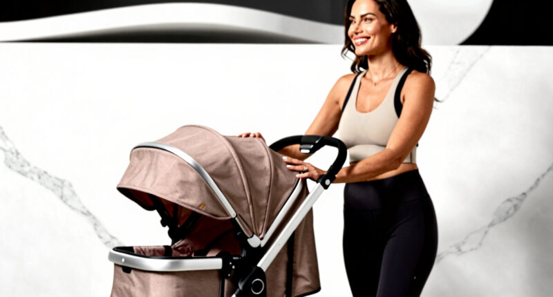 4 Best Pet Strollers in 2026