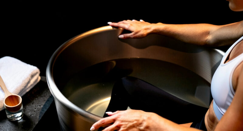 5 Best Ice Bath Tubs in 2026