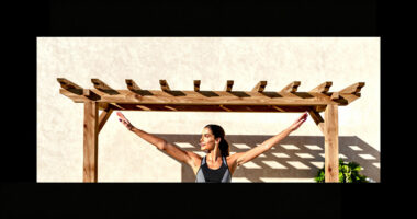 6 Best Pergolas in 2026