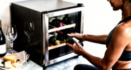 6 Best Wine Refrigerators in 2026