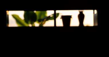 8 Best Raised Garden Beds Metal in 2026