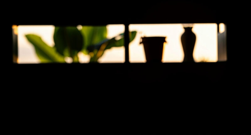 8 Best Raised Garden Beds Metal in 2026