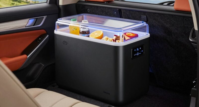 compact car refrigerator