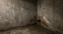 hidden basement moisture signs