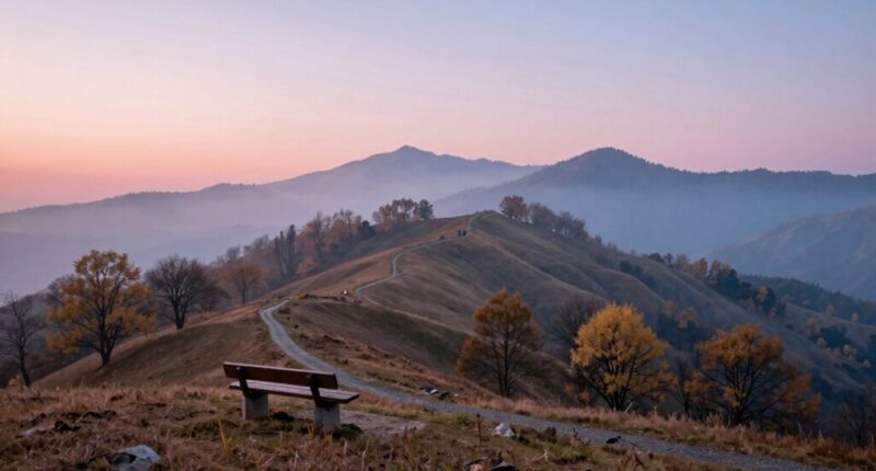 ideal travel time benefits