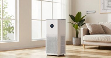 room size air purifier