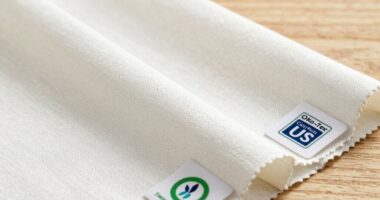 safe tested certified standards