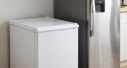 storage options for freezers