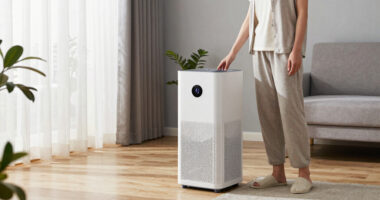 15 Best Air Purifiers for Allergies in 2026