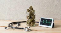 Cannabis Users Face Substantially Higher Risk Of Heart Attack (2025)