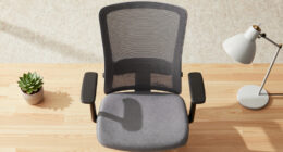 How to Choose Comfortable Ergonomic Office Chairs