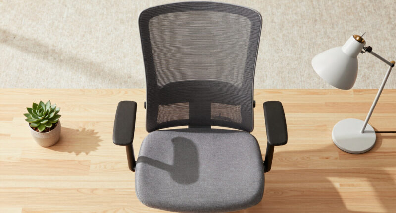 How to Choose Comfortable Ergonomic Office Chairs