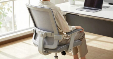 How to Choose Comfortable Ergonomic Office Chairs