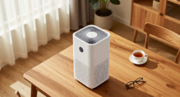 HEPA Air Purifiers May Boost Brain Function After Just One Month